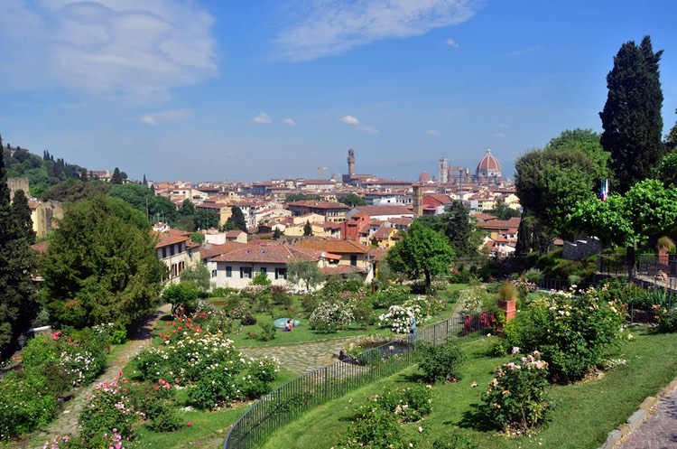 rose-garden-view